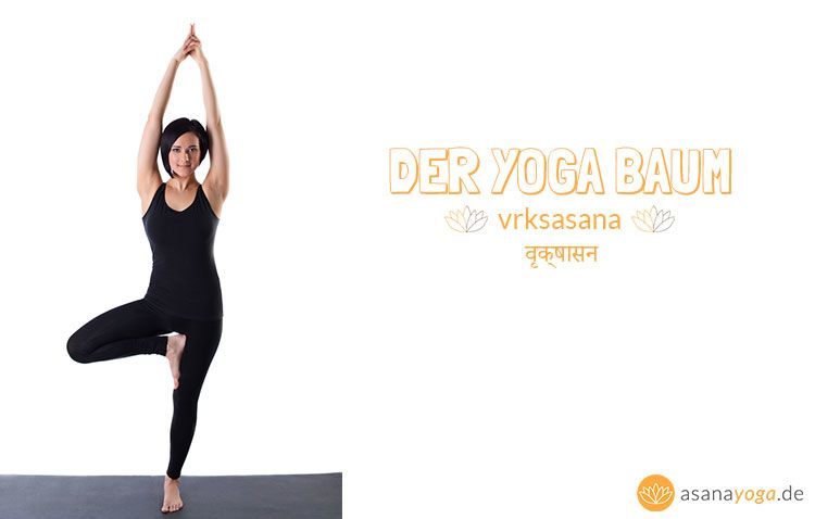 Yoga Baum (Vrksasana) Bleib standhaft!