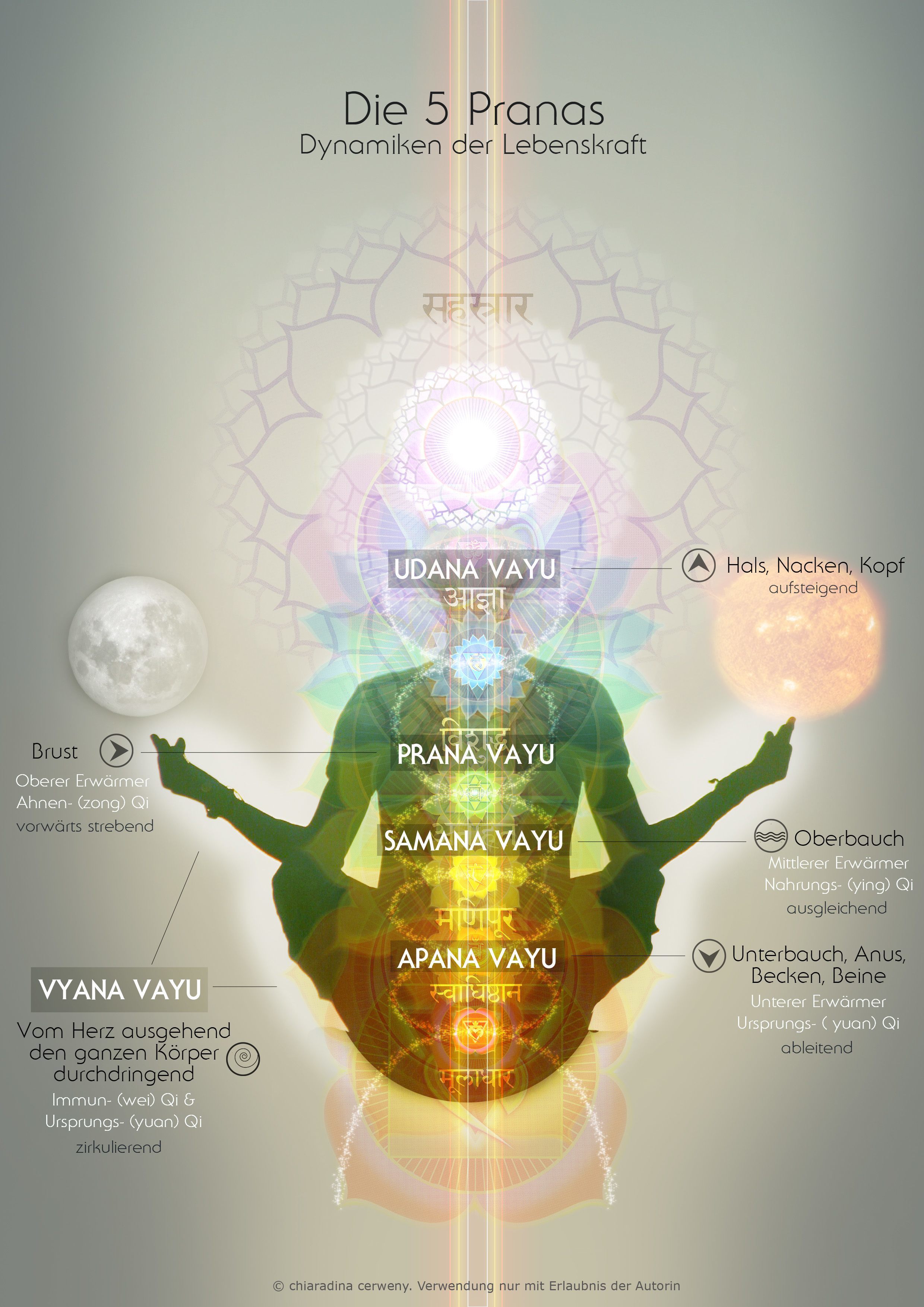 Die fünf Vāyus & Phasen unseres Atems
