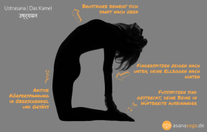 Infografik vom Yoga Kamel Ustrasana