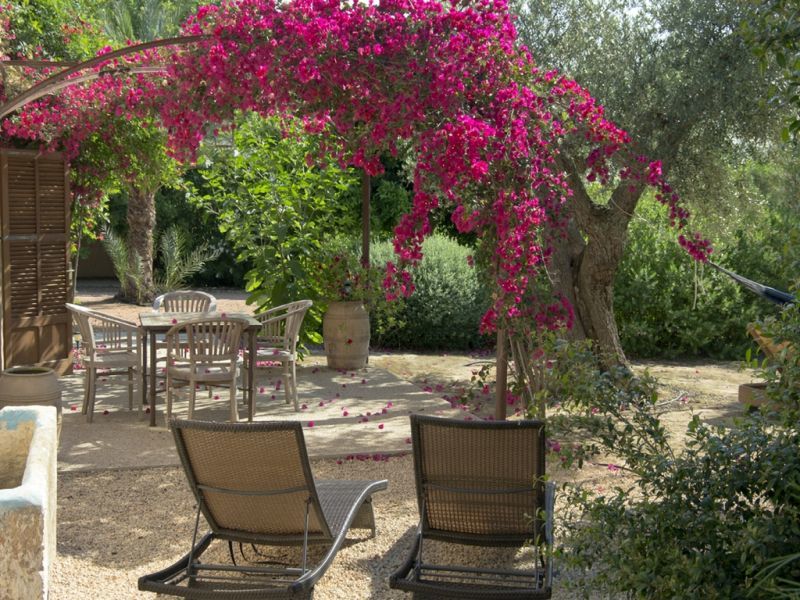 Yoga und Detox auf Mallorca