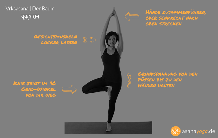yoga-baum-vrksasana