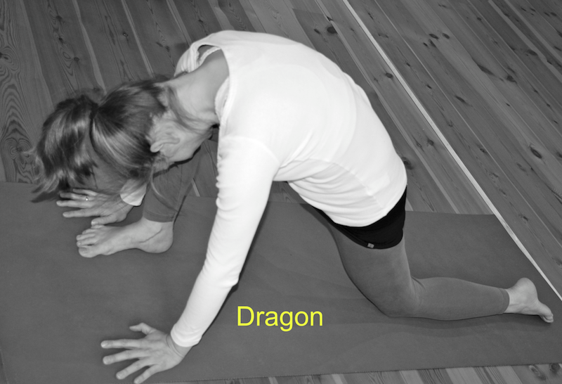 dragon