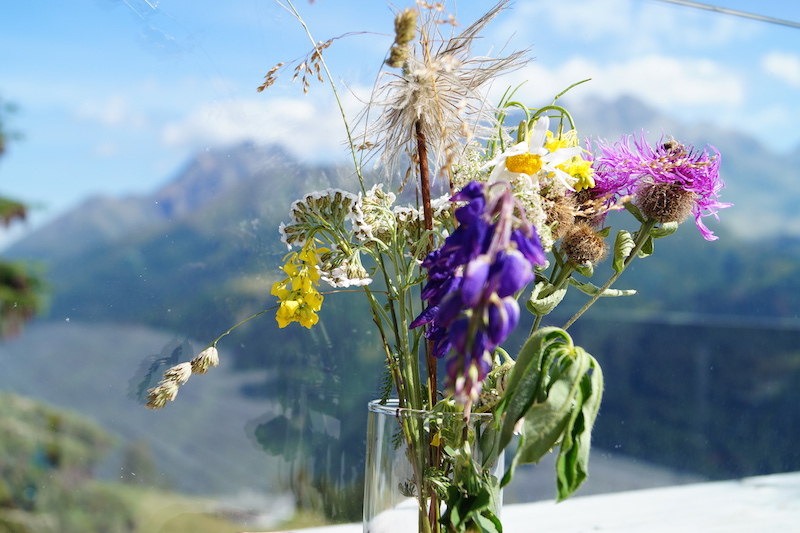 Mountain Yoga Festival St. Anton Blumen und Berge
