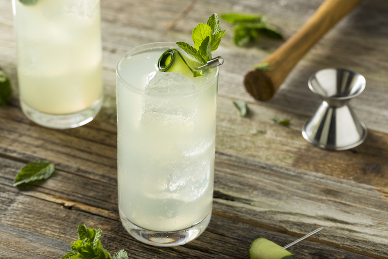 Switchel Apfelessig Gin